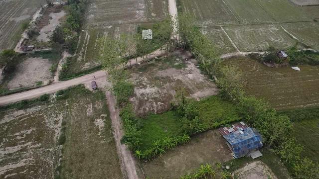 ที่ดิน 700000 เชียงราย แม่จัน ป่าซาง ที่ดิน 700000 เชียงราย แม่จัน ป่าซาง