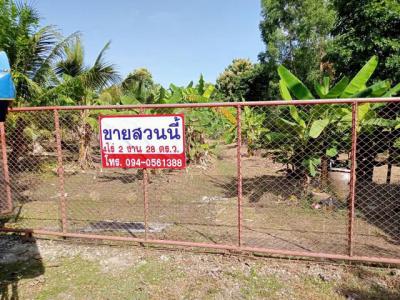 ที่ดิน 4000000 พะเยา จุน ลอ