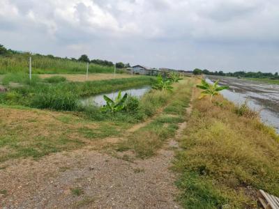 ที่ดิน 800000 ปทุมธานี ลาดหลุมแก้ว บ่อเงิน