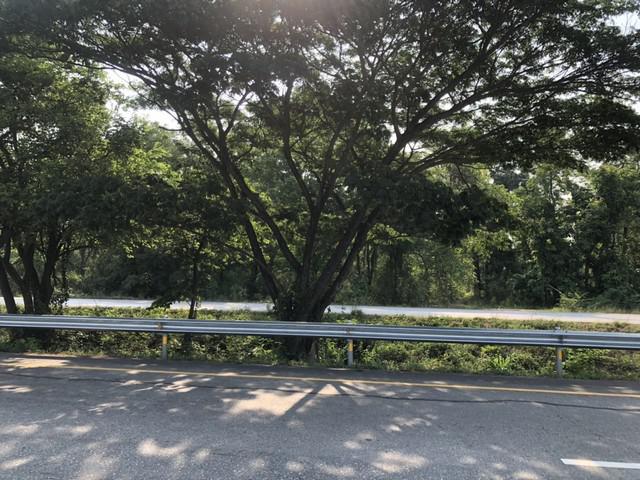 ที่ดิน 2500000 ตาก บ้านตาก ตากออก ที่ดิน 2500000 ตาก บ้านตาก ตากออก