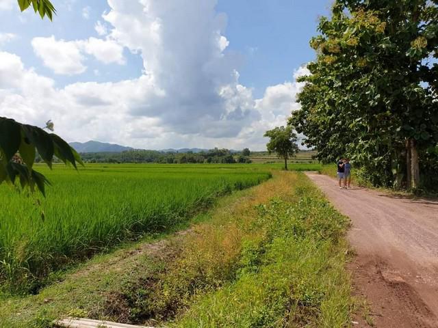 ที่ดิน 700000 เชียงราย แม่จัน ป่าซาง ที่ดิน 700000 เชียงราย แม่จัน ป่าซาง
