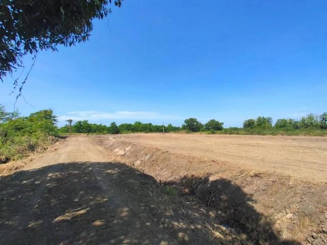ที่ดิน 5500 ปทุมธานี ลำลูกกา บึงทองหลาง ที่ดิน 5500 ปทุมธานี ลำลูกกา บึงทองหลาง