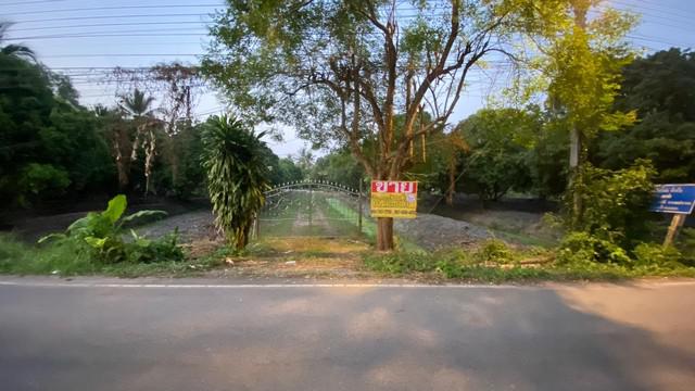 ที่ดิน 9500000 สมุทรสงคราม อัมพวา บางช้าง ที่ดิน 9500000 สมุทรสงคราม อัมพวา บางช้าง