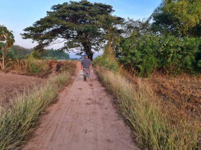ที่ดิน 800000 หนองคาย โพนพิสัย กุดบง