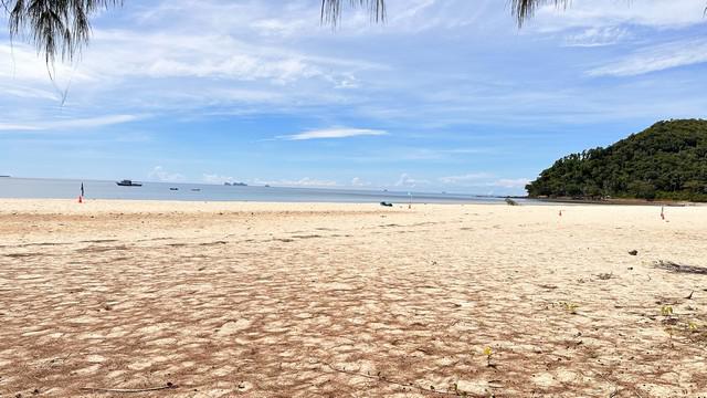 ที่ดิน 5900000 ชุมพร ปะทิว สะพลี ที่ดิน 5900000 ชุมพร ปะทิว สะพลี