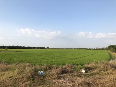ที่ดิน 800000 ปทุมธานี ลาดหลุมแก้ว บ่อเงิน