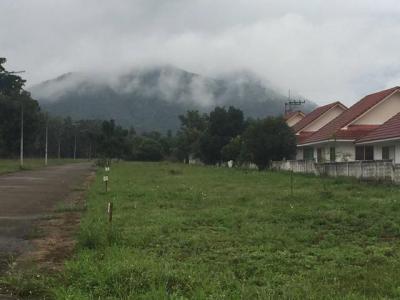 ที่ดิน 22000000 ลำพูน เมืองลำพูน มะเขือแจ้