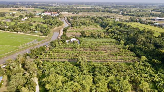ที่ดิน 3920000 สระบุรี หนองแค หนองจรเข้ ที่ดิน 3920000 สระบุรี หนองแค หนองจรเข้