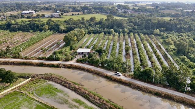 ที่ดิน 3920000 สระบุรี หนองแค หนองจรเข้ ที่ดิน 3920000 สระบุรี หนองแค หนองจรเข้