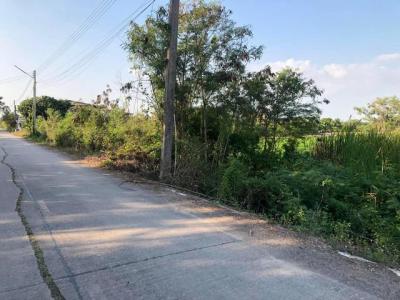 ที่ดิน 800000 ปทุมธานี ลาดหลุมแก้ว บ่อเงิน