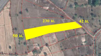 ที่ดิน 250000 นครราชสีมา ด่านขุนทด หนองบัวตะเกียด