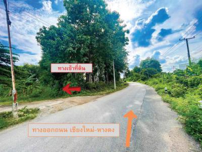 ที่ดิน 13990759 เชียงใหม่ เมืองเชียงใหม่ แม่เหียะ