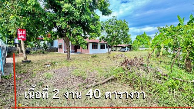 บ้านเดี่ยว 1550000 นครพนม นาแก บ้านแก้ง บ้านเดี่ยว 1550000 นครพนม นาแก บ้านแก้ง