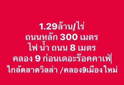 ที่ดิน 1290000 ปทุมธานี หนองเสือ บึงบอน