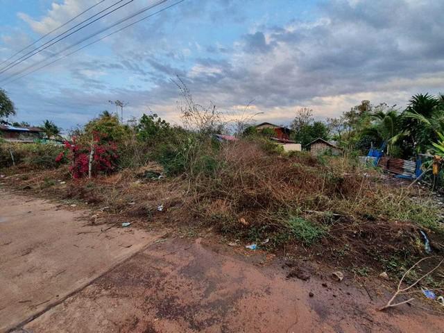 ที่ดิน 390000 อุดรธานี บ้านดุง นาคำ ที่ดิน 390000 อุดรธานี บ้านดุง นาคำ