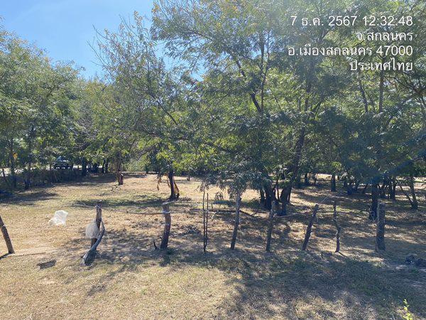ที่ดิน 12168000 สกลนคร เมืองสกลนคร ห้วยยาง ที่ดิน 12168000 สกลนคร เมืองสกลนคร ห้วยยาง