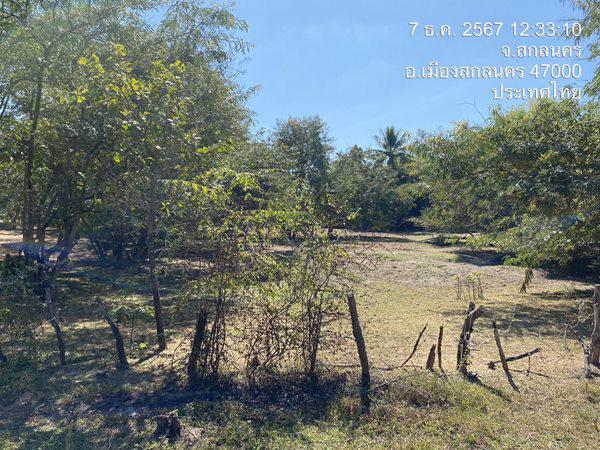 ที่ดิน 12168000 สกลนคร เมืองสกลนคร ห้วยยาง ที่ดิน 12168000 สกลนคร เมืองสกลนคร ห้วยยาง