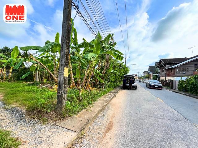 ที่ดิน 2100000 พัทลุง เมืองพัทลุง คูหาสวรรค์ ที่ดิน 2100000 พัทลุง เมืองพัทลุง คูหาสวรรค์