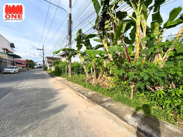 ที่ดิน 2100000 พัทลุง เมืองพัทลุง คูหาสวรรค์ ที่ดิน 2100000 พัทลุง เมืองพัทลุง คูหาสวรรค์