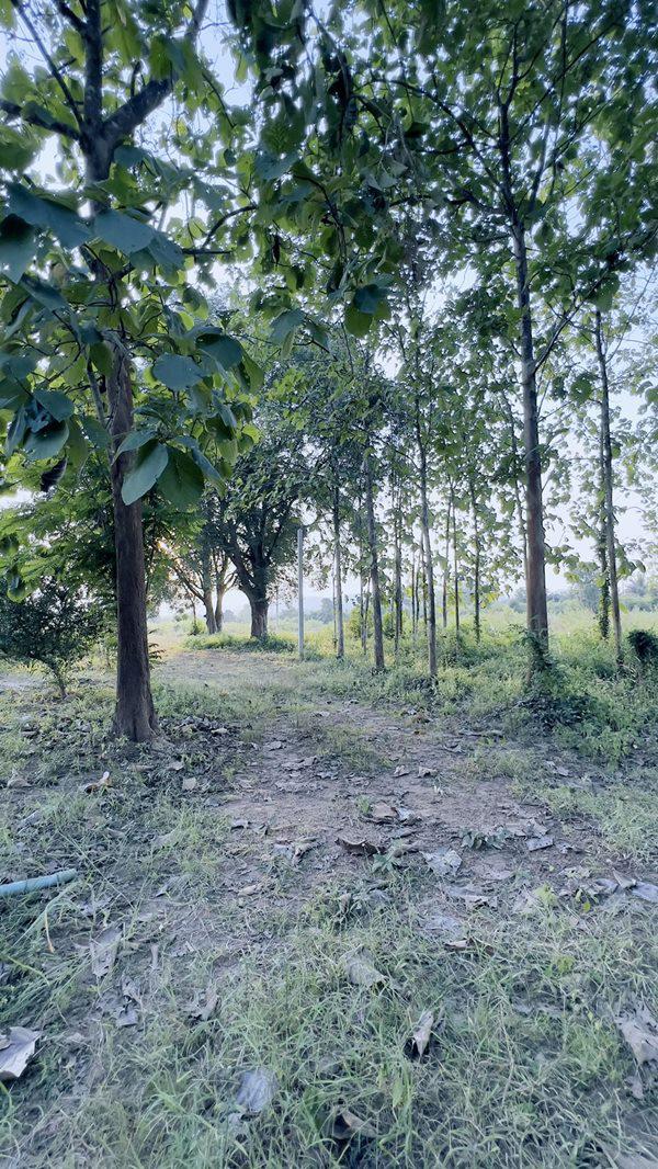 ที่ดิน 7000000 ราชบุรี สวนผึ้ง ป่าหวาย ที่ดิน 7000000 ราชบุรี สวนผึ้ง ป่าหวาย