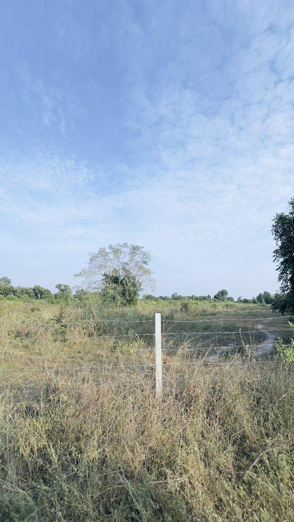 ที่ดิน 7000000 ราชบุรี สวนผึ้ง ป่าหวาย ที่ดิน 7000000 ราชบุรี สวนผึ้ง ป่าหวาย