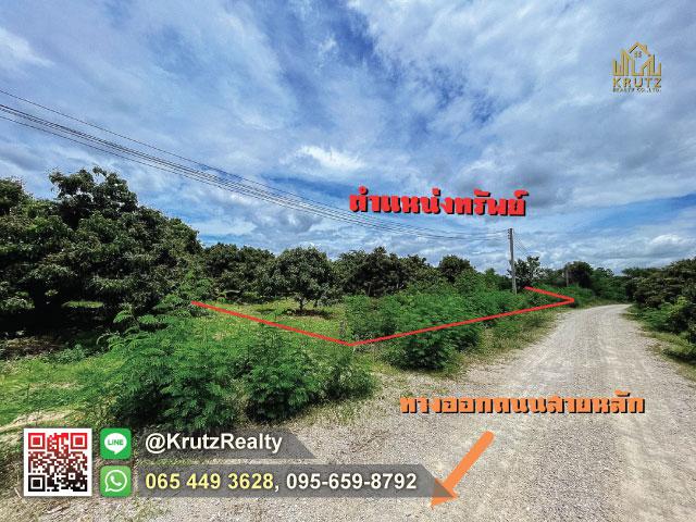 ที่ดิน 690000 เชียงใหม่ กิ่งอำเภอดอยหล่อ ดอยหล่อ