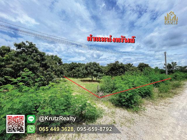 ที่ดิน 690000 เชียงใหม่ กิ่งอำเภอดอยหล่อ ดอยหล่อ