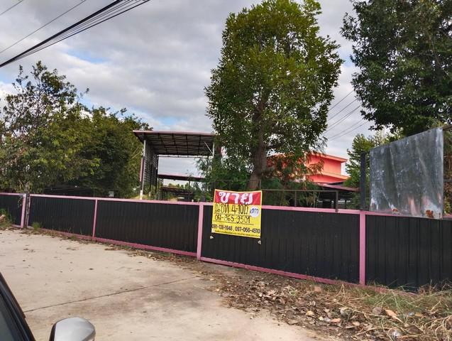 ที่ดิน 11000000 บุรีรัมย์ นางรอง หนองกง ที่ดิน 11000000 บุรีรัมย์ นางรอง หนองกง