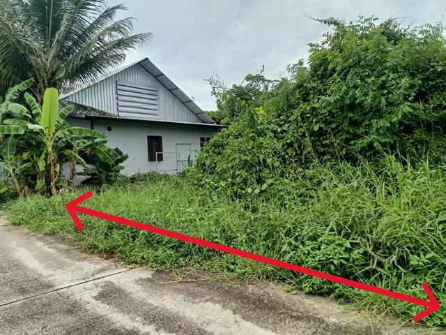 ที่ดิน 1210000 ลำพูน เมืองลำพูน ป่าสัก ที่ดิน 1210000 ลำพูน เมืองลำพูน ป่าสัก