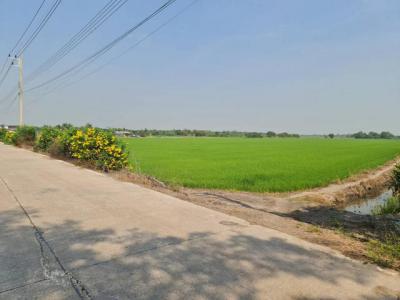 ที่ดิน 800000 ปทุมธานี ลาดหลุมแก้ว บ่อเงิน