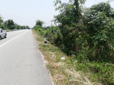 ที่ดิน 2500000 ตาก บ้านตาก ตากออก