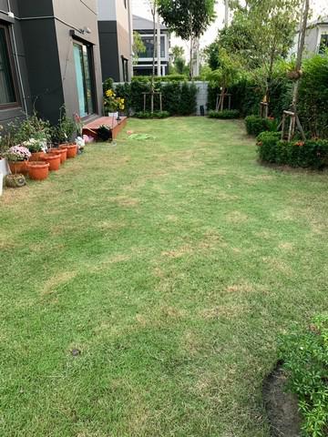 บ้านเดี่ยว 15900000 สมุทรปราการ บางพลี บางแก้ว บ้านเดี่ยว 15900000 สมุทรปราการ บางพลี บางแก้ว