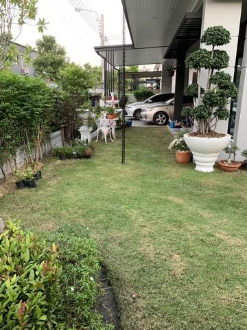 บ้านเดี่ยว 15900000 สมุทรปราการ บางพลี บางแก้ว บ้านเดี่ยว 15900000 สมุทรปราการ บางพลี บางแก้ว