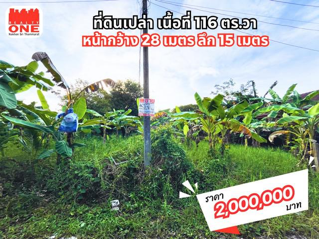 ที่ดิน 2000000 พัทลุง เมืองพัทลุง คูหาสวรรค์ ที่ดิน 2000000 พัทลุง เมืองพัทลุง คูหาสวรรค์