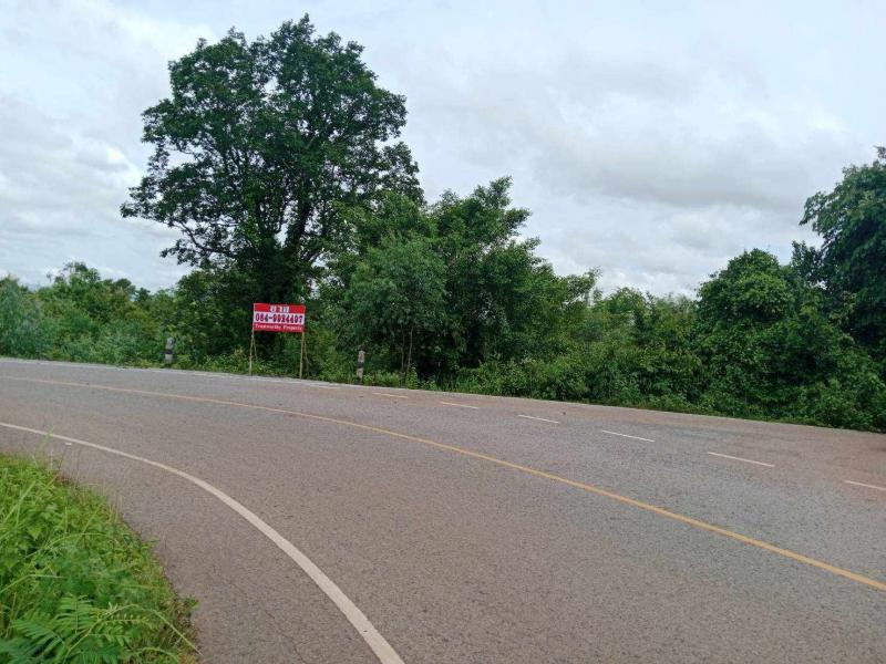 ที่ดิน 9500000 สกลนคร คำตากล้า คำตากล้า ที่ดิน 9500000 สกลนคร คำตากล้า คำตากล้า