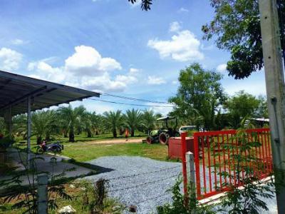 ที่ดิน 9000000 สุพรรณบุรี ดอนเจดีย์ ทะเลบก