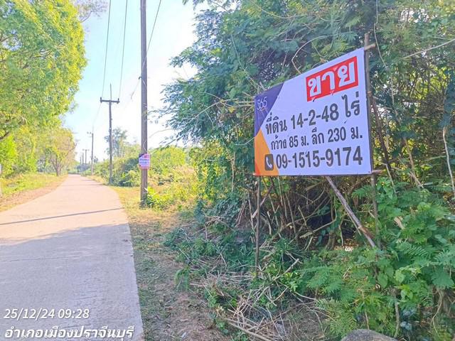 ที่ดิน 29240000 ปราจีนบุรี เมืองปราจีนบุรี ไม้เค็ด ที่ดิน 29240000 ปราจีนบุรี เมืองปราจีนบุรี ไม้เค็ด