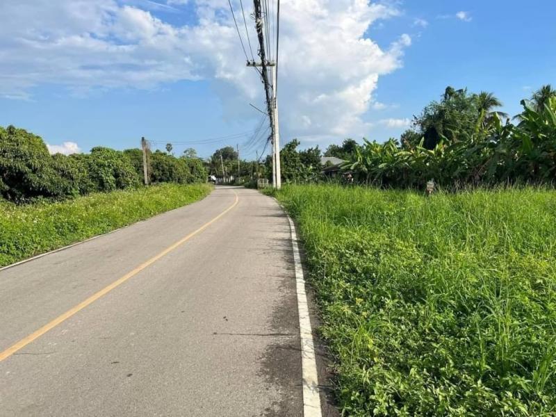 ที่ดิน 2446500 เชียงใหม่ สารภี ดอนแก้ว ที่ดิน 2446500 เชียงใหม่ สารภี ดอนแก้ว