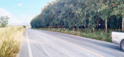 ที่ดิน 2500000 ชลบุรี ศรีราชา เขาคันทรง