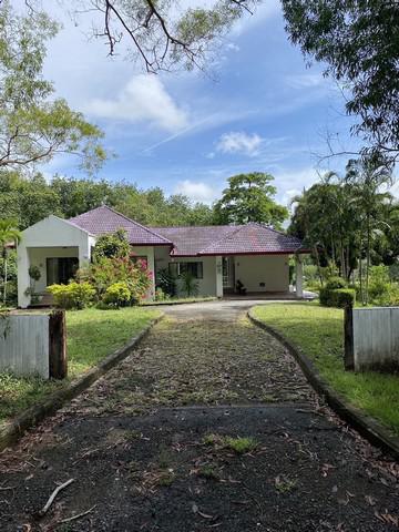 บ้านเดี่ยว 19900000 ภูเก็ต ถลาง ไม้ขาว บ้านเดี่ยว 19900000 ภูเก็ต ถลาง ไม้ขาว
