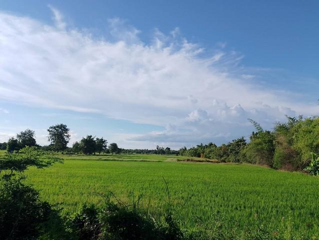 ที่ดิน 18000000 สุโขทัย เมืองสุโขทัย เมืองเก่า ที่ดิน 18000000 สุโขทัย เมืองสุโขทัย เมืองเก่า