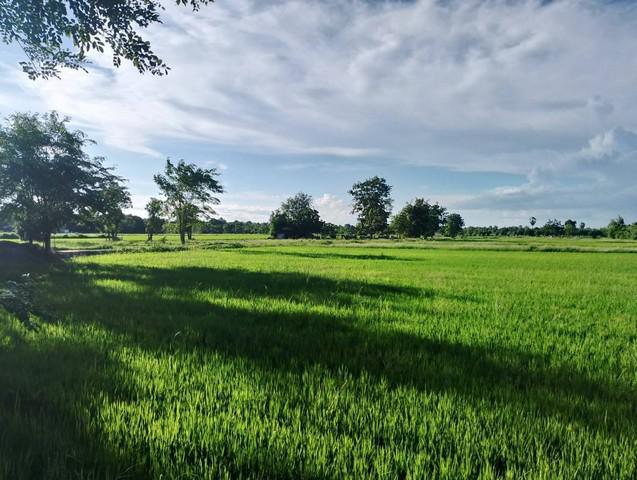 ที่ดิน 18000000 สุโขทัย เมืองสุโขทัย เมืองเก่า ที่ดิน 18000000 สุโขทัย เมืองสุโขทัย เมืองเก่า