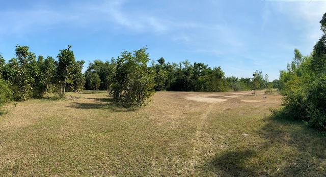 ที่ดิน 1000000 ตาก เมืองตาก น้ำรึม ที่ดิน 1000000 ตาก เมืองตาก น้ำรึม