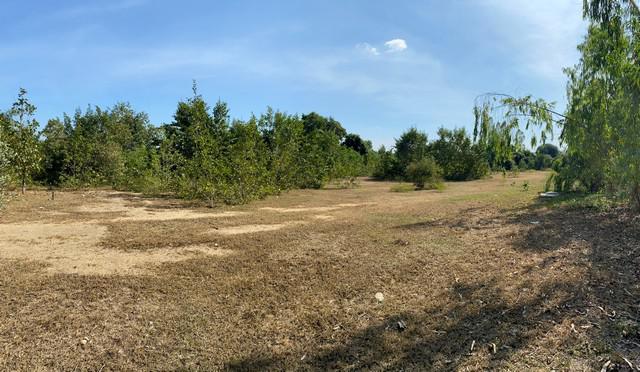 ที่ดิน 1000000 ตาก เมืองตาก น้ำรึม ที่ดิน 1000000 ตาก เมืองตาก น้ำรึม