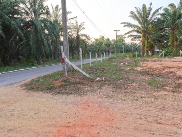 ที่ดิน 3500000 ประจวบคีรีขันธ์ บางสะพานน้อย ทรายทอง ที่ดิน 3500000 ประจวบคีรีขันธ์ บางสะพานน้อย ทรายทอง