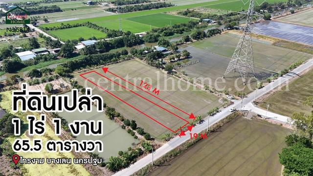ที่ดิน 1130000 นครปฐม บางเลน ไทรงาม ที่ดิน 1130000 นครปฐม บางเลน ไทรงาม