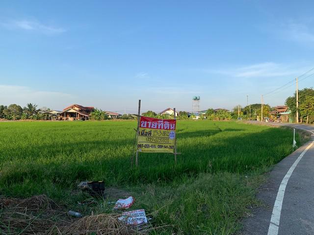 ที่ดิน 2500000 ฉะเชิงเทรา บางปะกง หนองจอก