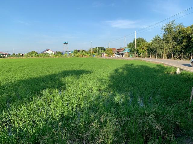 ที่ดิน 2500000 ฉะเชิงเทรา บางปะกง หนองจอก