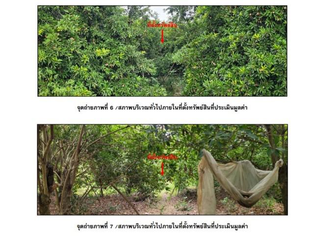 ที่ดิน 950000 นครสวรรค์ โกรกพระ บางมะฝ่อ ที่ดิน 950000 นครสวรรค์ โกรกพระ บางมะฝ่อ