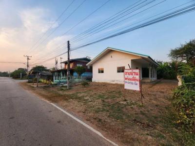 บ้านเดี่ยว 1999000 กำแพงเพชร ไทรงาม พานทอง